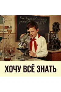 Поведение бетона при минусовых температурах